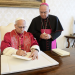 Papa Leo XIV zhvendos fokusin e Kishës: “Drejtësia sociale më e rëndësishme se debatet seksuale”
