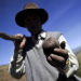 “Superfuqia” gjenetike e peruanëve: patatja ndryshoi ADN-në e njerëzve në Ande dhe rriti riprodhimin te njerёzit