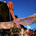 BBC: “Revolucioni i Flamingove” merr hov, mijëra kërkojnë dorëheqjen e kryeministrit shqiptar