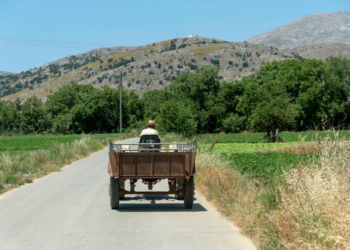 Skandali grek i subvencioneve bujqësore: Prokuroria Evropiane apelon pafajësinë për fondet e CAP të rikthyera