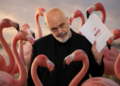Gjuetari në habitatin e flamingove