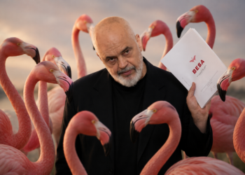Gjuetari në habitatin e flamingove