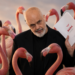 Gjuetari në habitatin e flamingove