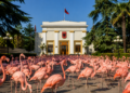 Seanca dinake: Pse Kuvendi mblidhet kur nuk ka “punë”? Ushtria parlamentare rreng ushtrisë sё “Flamingove”