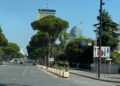 660 metrat e pushtetit: Reforma Territoriale marshon nё bulevard