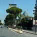 660 metrat e pushtetit: Reforma Territoriale marshon nё bulevard