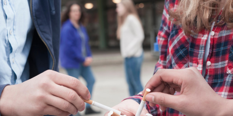 Krimi i organizuar ngre fabrika ilegale cigaresh pothuajse në çdo vend të BE-së, humbjet arrijnë 13 miliardë euro në vit
