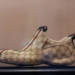 Gucci thyen traditën “Made in Italy”, nxjerr këpucët luksoze “Made in China” për të joshur shtresën e mesme