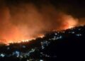 Zjarri në Himarë shkrumbon ullinjtë qindravjeçarë, ikonë e zonës/ Dëme të rënda për mjedisin dhe biznesin, banorët dyshojnë për zjarrvënie të qëllimshme