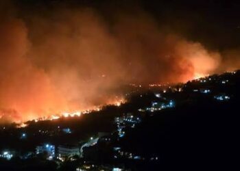 Zjarri në Himarë shkrumbon ullinjtë qindravjeçarë, ikonë e zonës/ Dëme të rënda për mjedisin dhe biznesin, banorët dyshojnë për zjarrvënie të qëllimshme