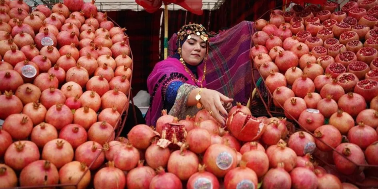 Festivali i Shegës në Irak, Halabja vishet me të kuqe mes ngjyrave dhe traditave