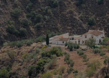Myslimanët po rikthehen në jug të Spanjës, 500 vjet pas dëbimit: Historia e Al-Andalusit që po tërheq familje nga Europa